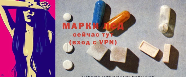 прущие грибы Покровск